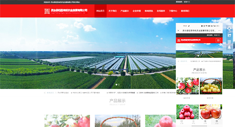 企業(yè)網(wǎng)站、程序軟件App解決方案